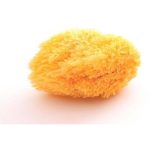 Natural Sponge