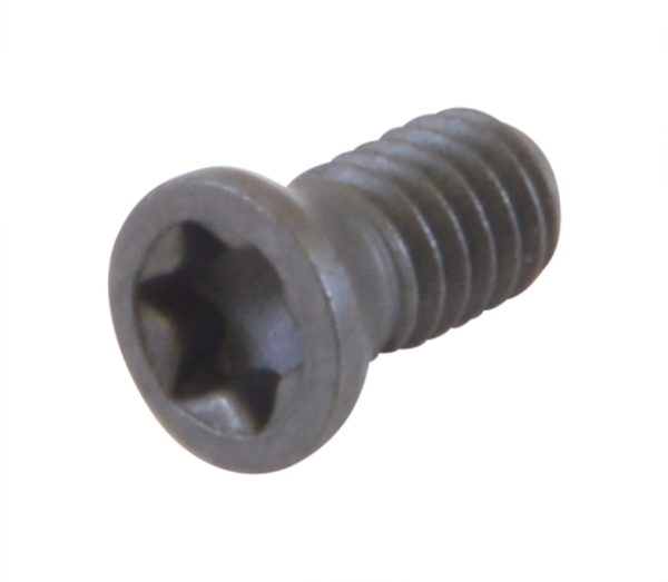 Torx Screw for Glanze Tools